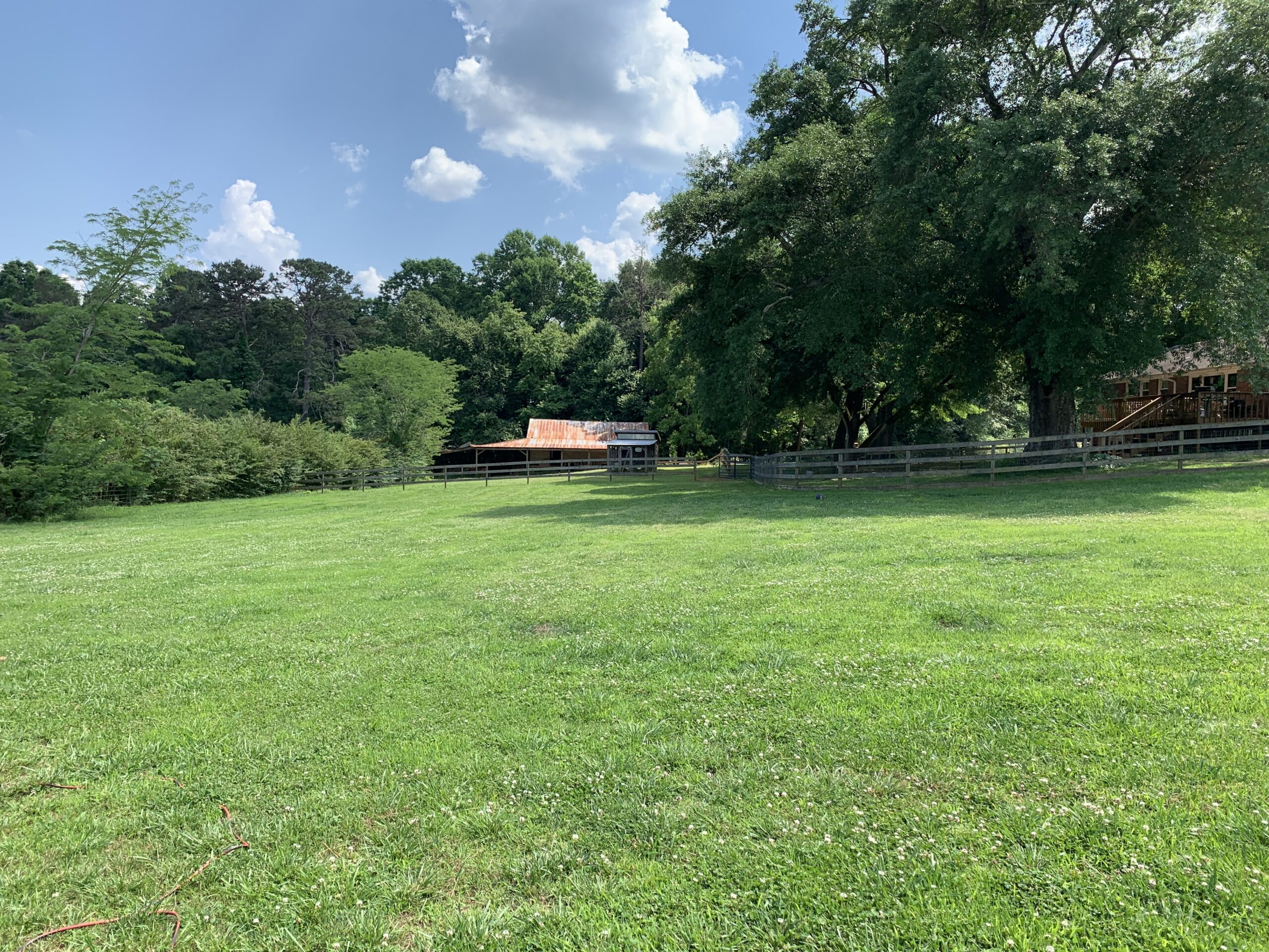 A grassy field with trees and a building in the background.